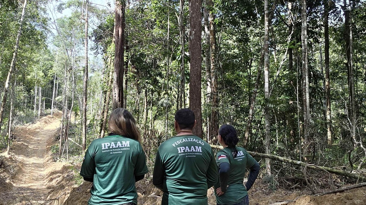 Amazonas: Ipaam Autoriza Retorno do Manejo Florestal Sustentável Após Defeso
