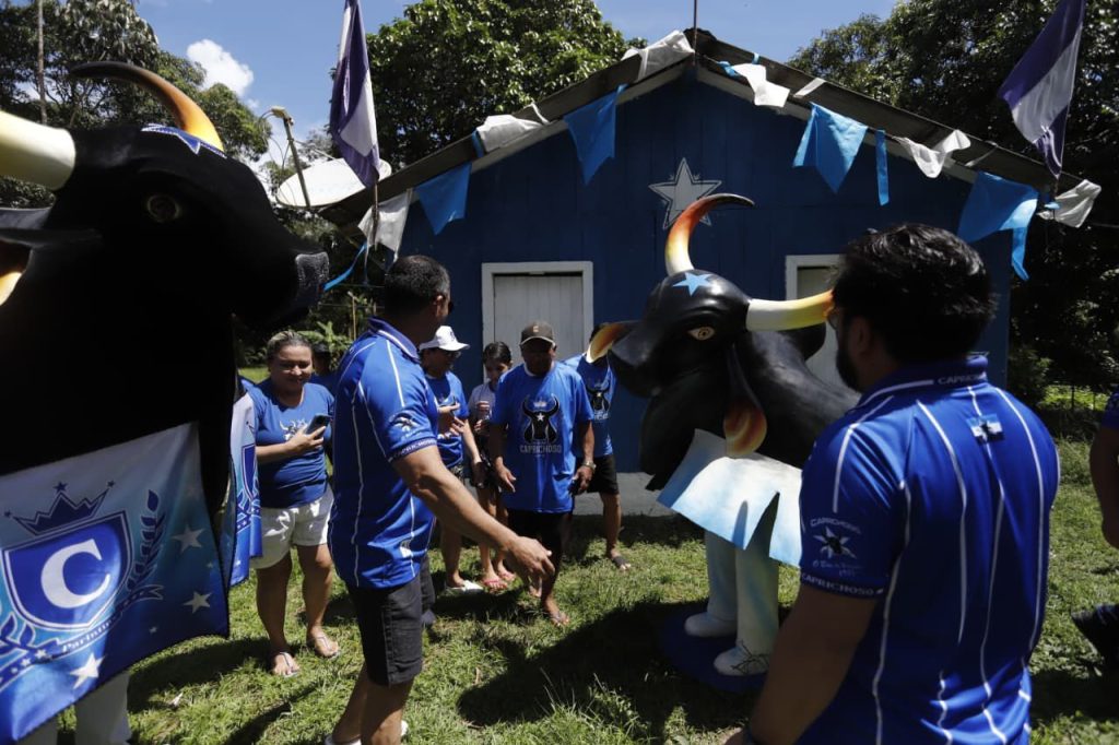 Boi Caprichoso marca Parananema como território azulado em Parintins